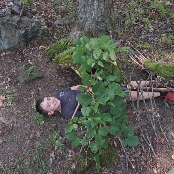 Like For Shows ♡ - Picture 7 of 11